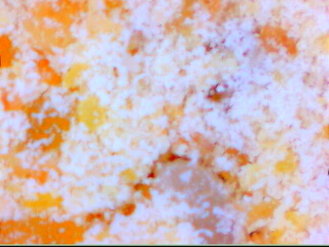 france fenugrec macro powder